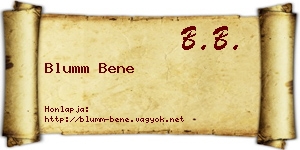 Blumm Bene névjegykártya